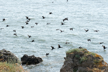 Similar image 959090