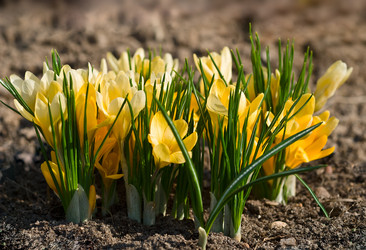 Similar image 959134