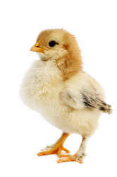 Similar image 959137