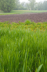 Similar image 959141