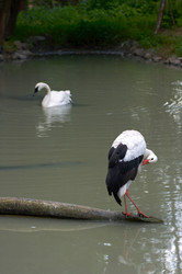 Similar image 959181