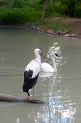 Similar image 959182