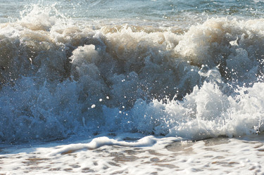 Similar image 959190