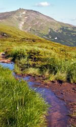 Similar image 959210