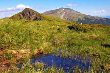 Similar image 959211