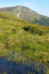 Similar image 959213