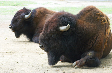 Similar image 959221