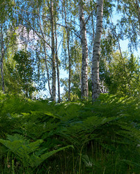 Similar image 959222