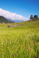 Similar image 959236