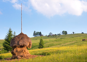 Similar image 959237