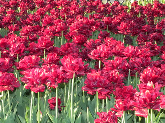 Similar image 959295