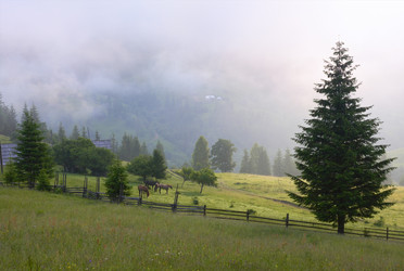 Similar image 959321