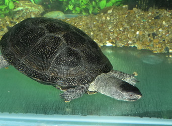 Similar image 959327