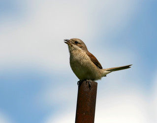 Similar image 959360