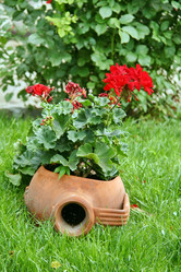 Similar image 959494