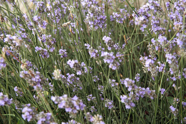 Similar image 959509