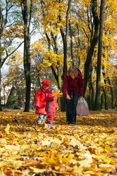 Similar image 959531