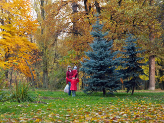 Similar image 959534