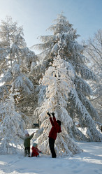 Similar image 959535