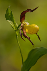 Similar image 959547