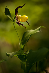 Similar image 959555