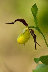 Similar image 959557