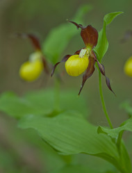 Similar image 959563