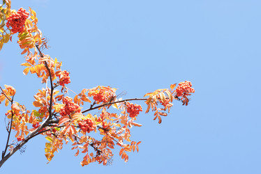 Similar image 959573