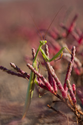 Similar image 959572