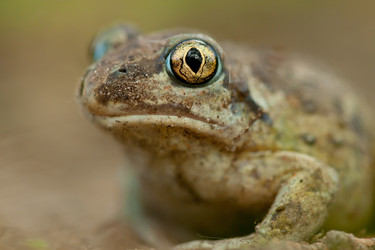 Similar image 959583