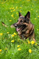 Similar image 959590