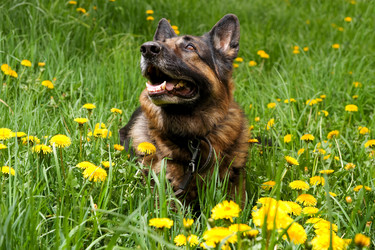 Similar image 959677