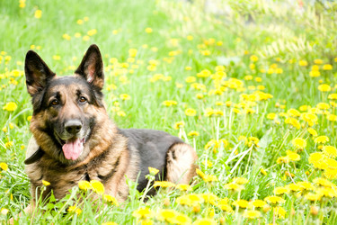 Similar image 959681