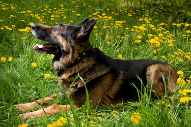 Similar image 959684