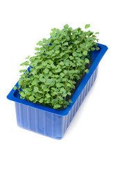 Similar image 959703