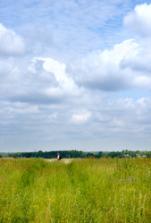 Similar image 959706