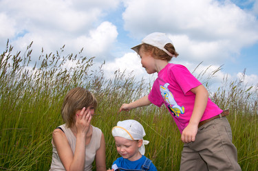 Similar image 959708