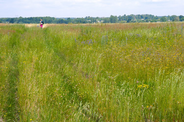 Similar image 959709