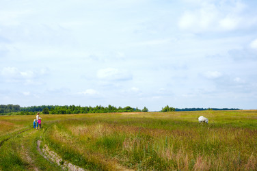 Similar image 959710