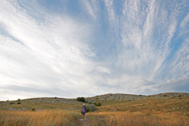 Similar image 959741