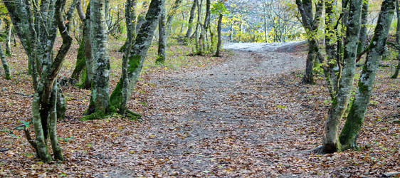 Similar image 959785