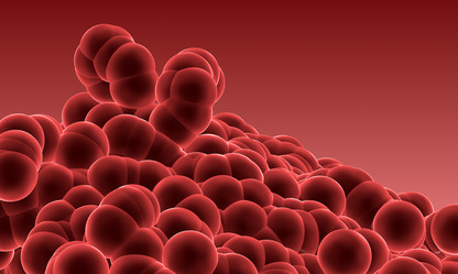 Similar image 960002