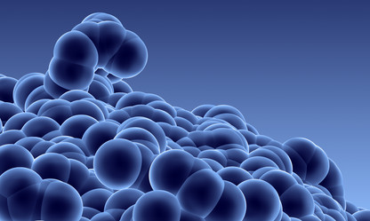 Similar image 960004