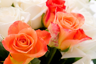 Similar image 960137