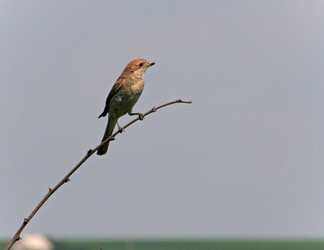 Similar image 960228