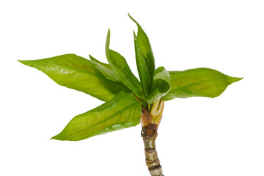 Similar image 960349