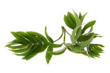 Similar image 960357