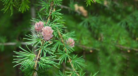 Similar image 960417