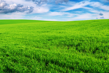 Similar image 960425