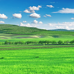 Similar image 960451